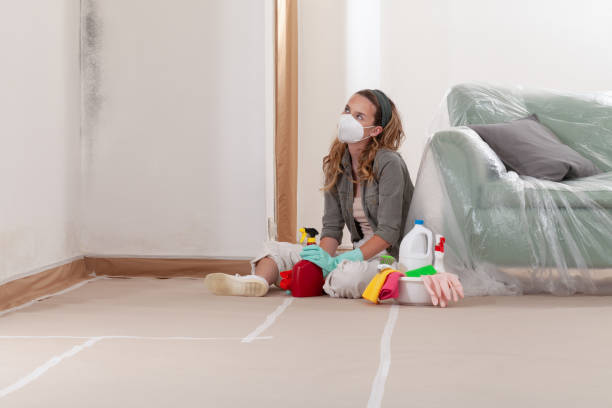 Reliable Mold Remediation contractor in Spring Grove, IL by WQB Mold Removal